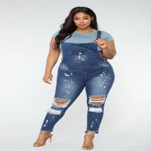   Check out our plus size beauties collection,