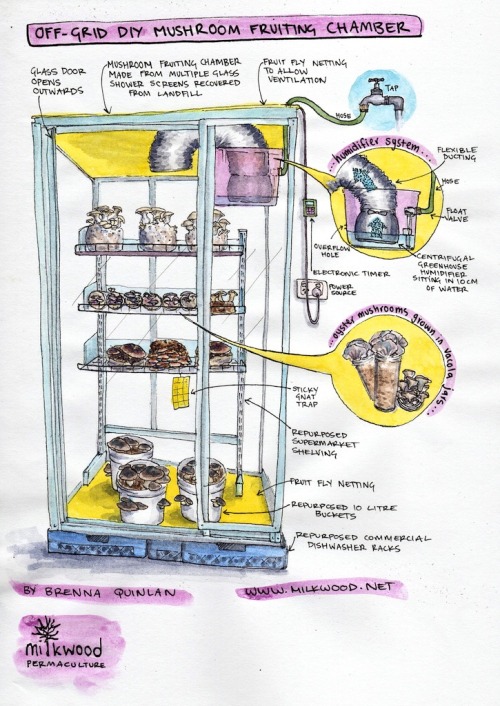 beemill:Making an Off-grid DIY Mushroom Fruiting Housevia https://www.milkwood.net/2017/10/19/making