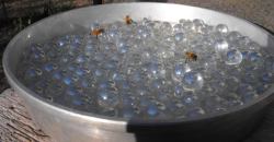 eartheld:  dirtyflowerchild:  the-vegan-elves:  This is a really great idea for a way to give bees and other insects water without fear of them drowning. Put marbles in a container and fill with water just enough to give them a surface to land on, so