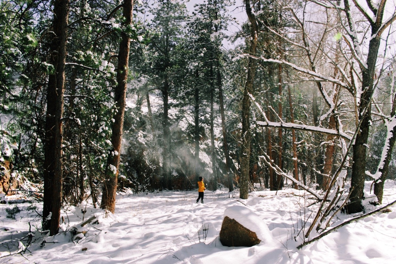 dear-evergreen:unconditional-solace:Woah dang. Today was great with dear-evergreen.
