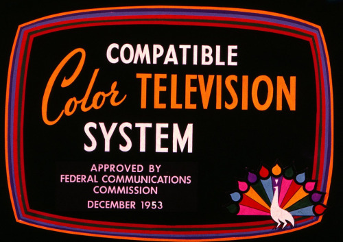 designstroy:  (via The Pie Shops Collection)