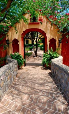 bonitavista:    Alamos, Mexico  photo via simply