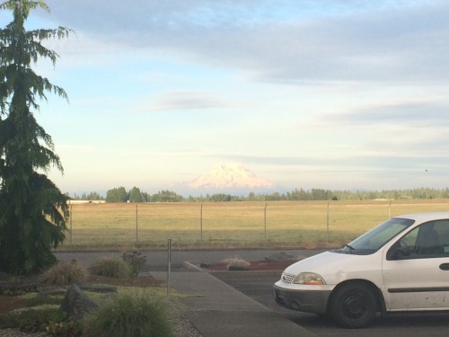 catbedamned:latesummer94:H8 this job but look at that thing! everlooming in the backgroundNo wonder 