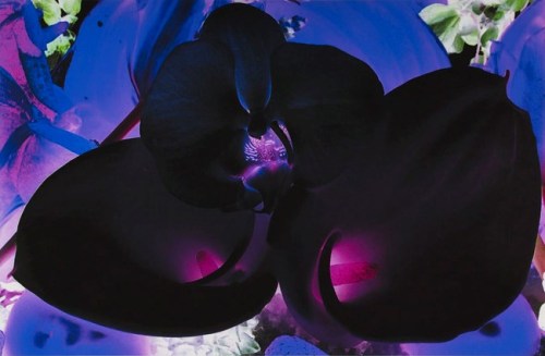 2gothic:From the Far Edges of The Universe by Marc Quinn