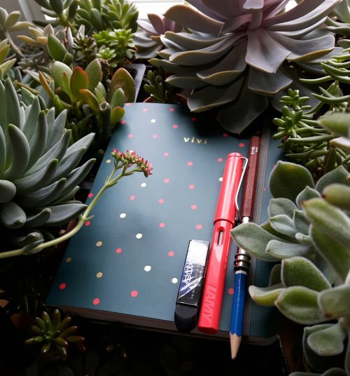 the most Aesthetic picture I’ve ever taken, ft. my Mossery notebook and Lamy safari fountain p