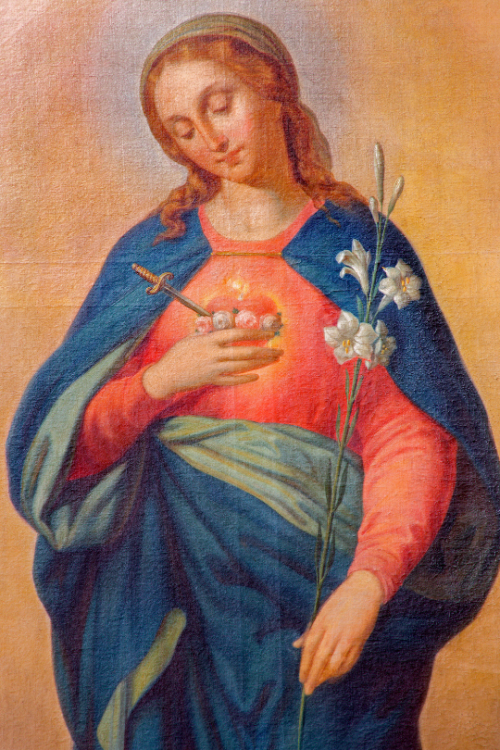 "Mary Immaculate, Pray For Us!" #OraProNobis
