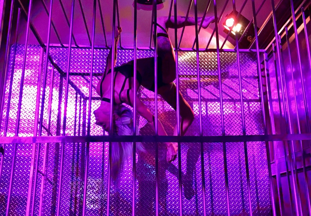 phrecklephace:♥ YES A STRIPPER.