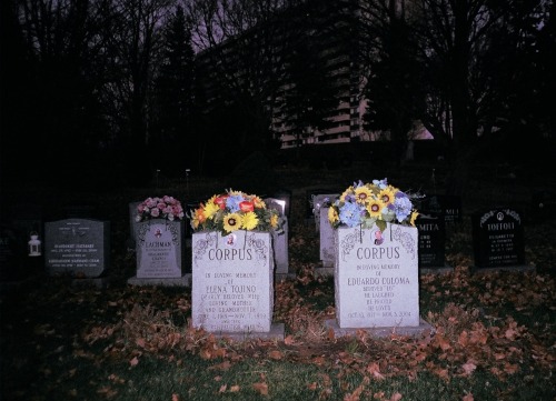 graceandgirlhood:  Mausoleum Dreams by Dani Rose 