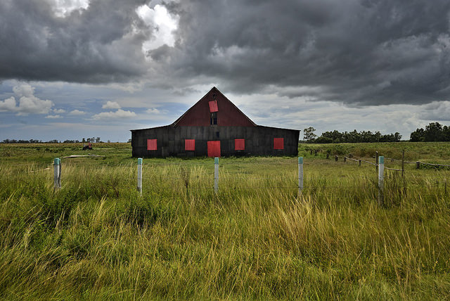 lensblr-network:  Cuban Tobacco farm by reycuba  (reycuba.tumblr.com)