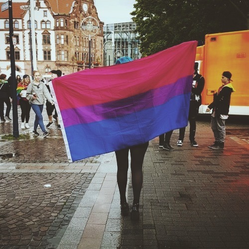 biaesthetc: bi pride!! Happy Bi Visibility Day ❤️