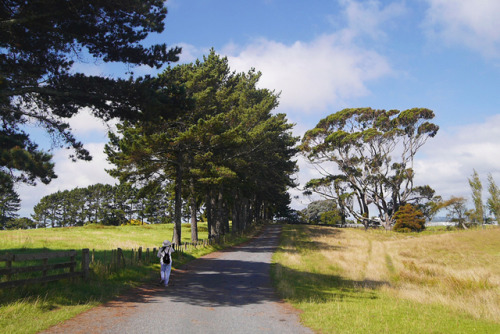 20190128 - Puhinui Reserve, Auckland: A rare shot of a person (this time being my mother). 