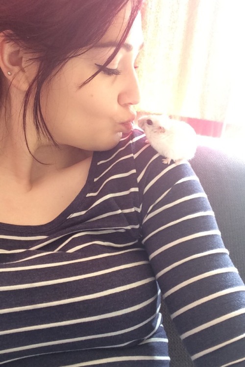 hamsterobsessed:  I love my baby <3
