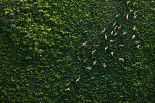 landscape-photo-graphy:  Abstract & Artist Aerial Landscape Photographs of Southern Africa by Zack Seckler  Weiterlesen