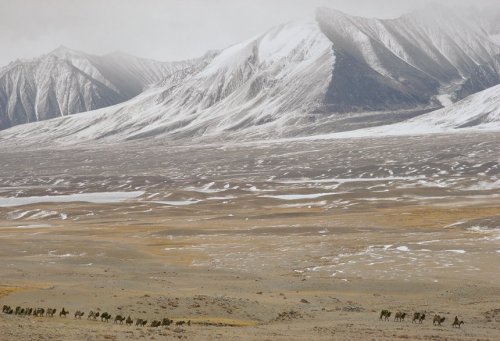 ripplefactor: Kyrgyz caravan in the Wakhan Corridor, Roland & Sabrina Michaud, Northeast Afghani