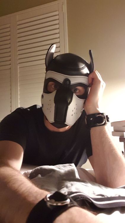 pupdeeno:  Arf!    It’s sooo cold… You come and warm up the pup?