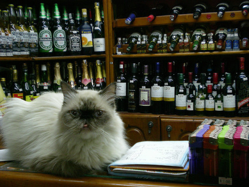 Liquor Store Clerk(by Joe.Achor)