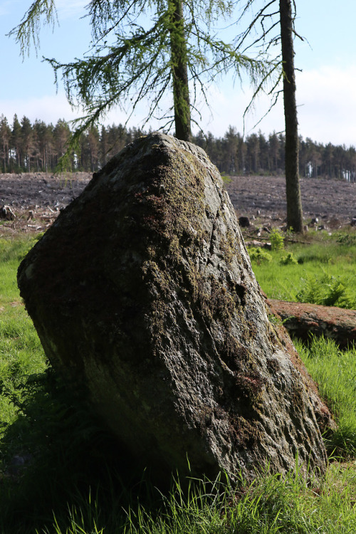 ‘Nine Stanes’ Stone Circle, nr Banchory, Scotland, 30.5.18.There is something really magical about t