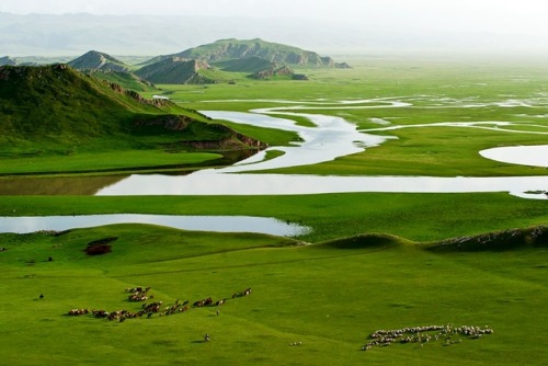 Spring Of Tianshan (The Heavens Mountains)