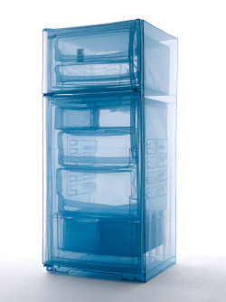 sulphuriclike:Do Ho Suh_Refrigerator_2013polyester