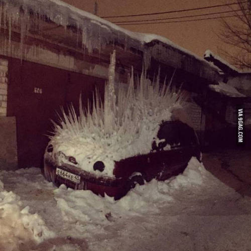 nsx:   Winter Mad Maxhttps://t.co/yKcaRt33CN http://pic.twitter.com/2mkKA6qtw8— 9GAG (@9GAG) February 1, 2016  