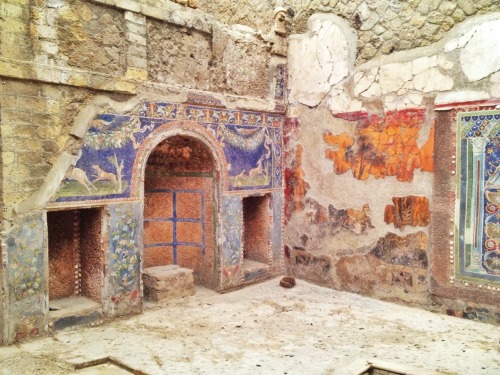 blissfulblacksheep: 30-12-2013 Today’s explorations included Pompeii and Herculaneum. These we