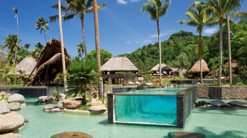madness-is-my-life:sixpenceee:Located in Laucala, Fiji at the Laucala Island Resort, this pool looks