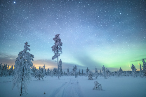 tiinatormanenphotography: Wintry night.  Posio, Southern Lapland, Finland.  Dec 2016.  by Tiina Törm