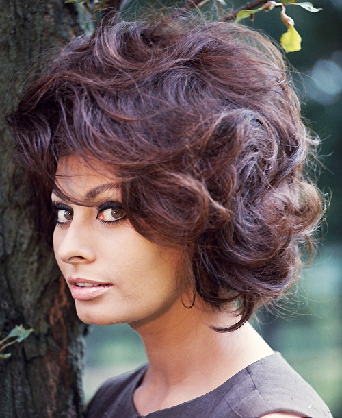 loren-sophia:
““ Sophia Loren by Chiara Samugheo, 1965.
” ”