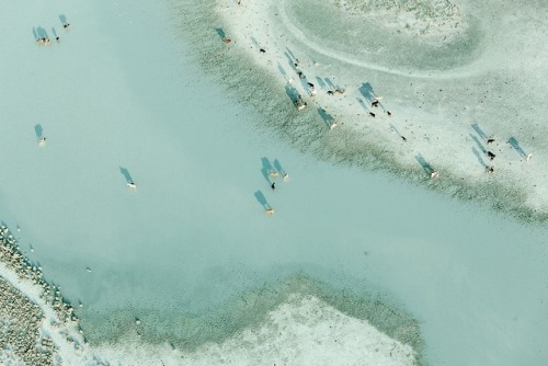 oldtimefriend: Zack Seckler Beautiful colors and patterns from Botswana. ‘Being above the grou