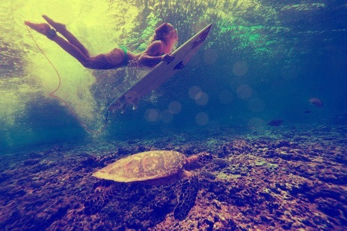 waves-baby:  Dreams - image #1377767 by awesomeguy on Favim.com on We Heart It. 