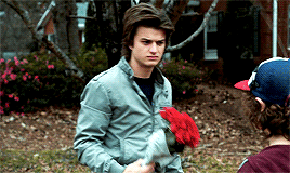 jyncassian:Steve Harrington in STRANGER THINGS 2