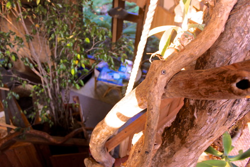 ffsry:  hybrid-machine:  lilysprettysillylife:  http://www.volcanotreehouse.net  Oh my this was a house created with love. Very inspirational for one of my own, one day :)  i want this to be my home some day