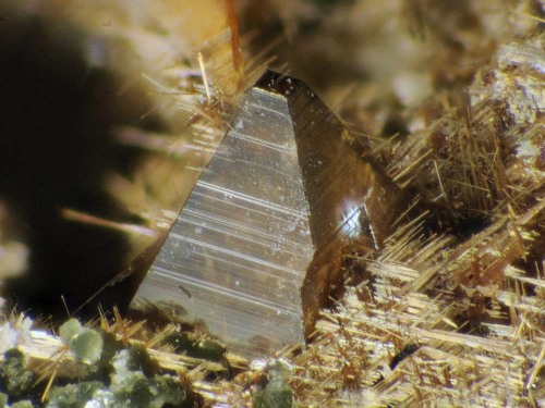 Rutile Var Sagenite With Anatase &amp; Brookite - Ankogel, Carinthia, Austria