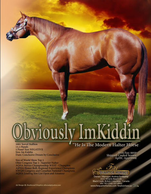 hockboy:bolto:horse names make great reaction picturesI’m kiddin looks like he’s about t