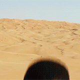 strangeandwonderousdreams:  Prequel | Original | Sequel