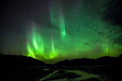 americasgreatoutdoors:  The Northern Lights put on a spectacular show earlier this week over the Toklat River in Denali National Park. For those of you who have seen them, what is your favorite Aurora memory? Photo courtesy of Daniel A. Leifheit 