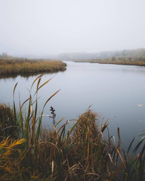 tylorreimer:I’m in the mood for fall.(at Riding Mountain National Park)Instagram