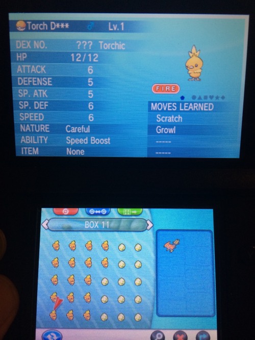 n9nechronicles:Trying to hatch a shiny torchic. Why not have some fun and nickname the unwanted torc
