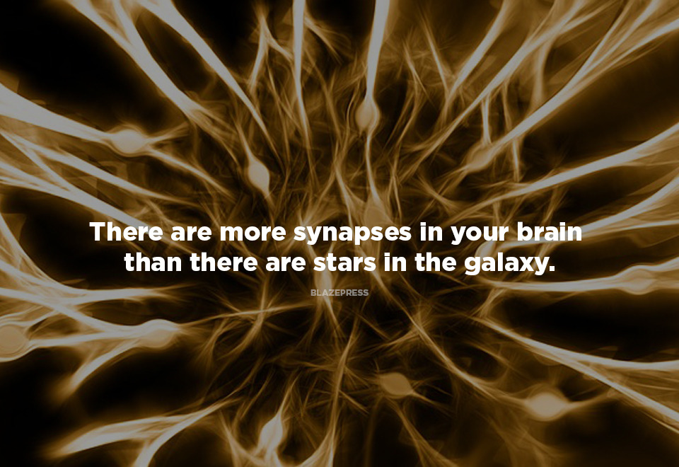 blazepress:  16 Facts That Sound Made up but Are Totally True