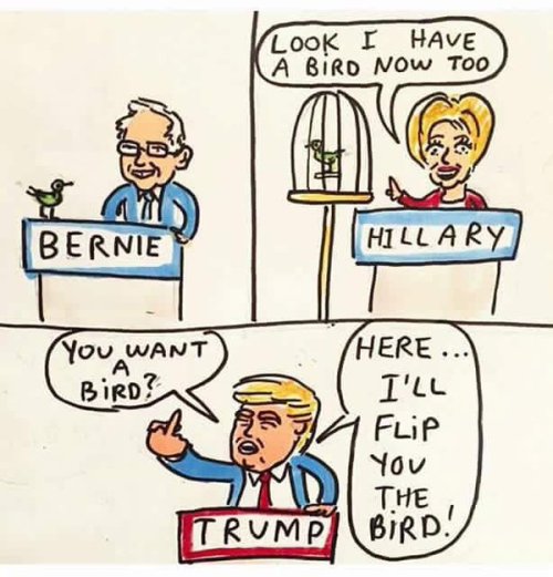 agoodcartoon:(source) funny how no one seems to remember now that  hillary said in a 1994 interview that “birds are wild animals” that “need to be put in tiny cages with nothing but mirrors for company” 