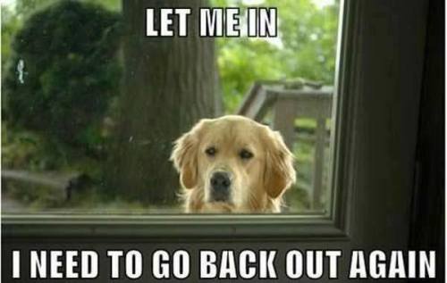 love-is-for-the-foolish:  My pups all day long.  They need to be on a schedule 