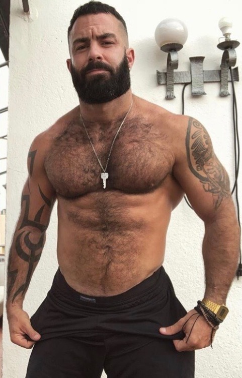 truckiemark: gespenst01:did I ever mention that I really like males with there natural Body-hair?&nb