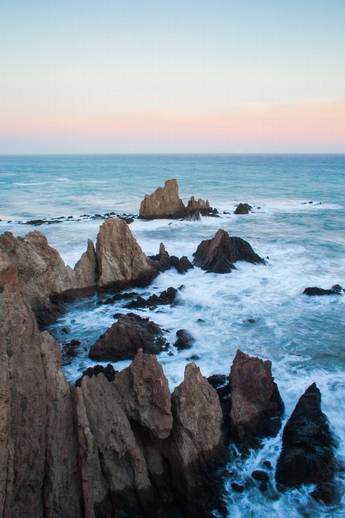 disxcrete:  nature/vertical