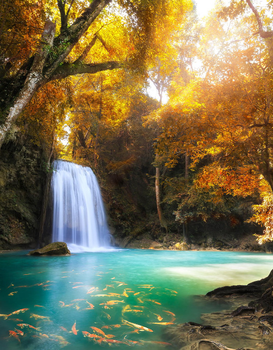 woodendreams:  (by Patrick :)) 