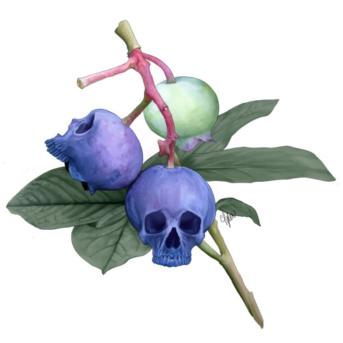 skullberries