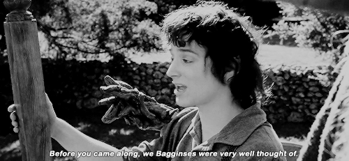 sourcetolkien: The Fellowship of the Ring (2001) “If you’re referring to the incident with the drago