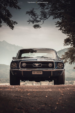 moto-gourmet:  ‘67 Ford Mustang By Dejan