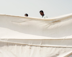 thomasprior: two men watching cricket, india,