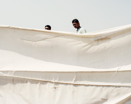 thomasprior:two men watching cricket, india, 2015