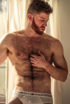 thefurryforest: